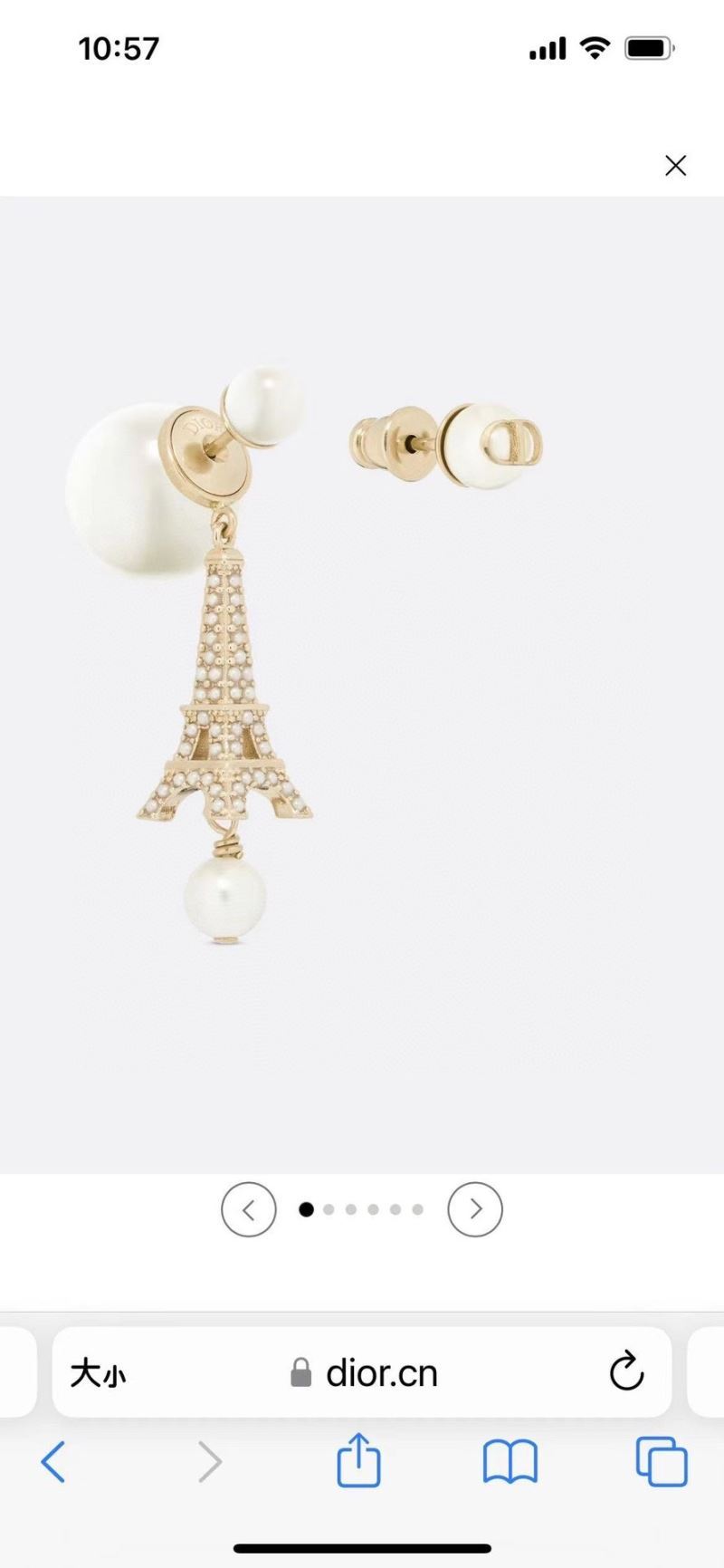 Christian Dior Earrings